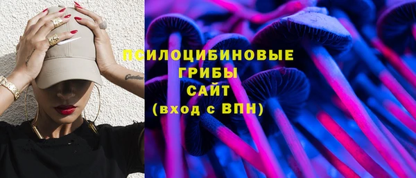ПСИЛОЦИБИНОВЫЕ ГРИБЫ Алексеевка