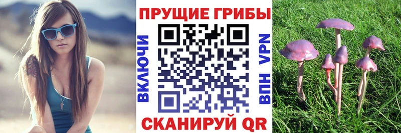 Псилоцибиновые грибы Cubensis  где найти наркотики  Копейск 