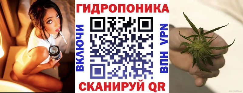 Шишки марихуана конопля Копейск